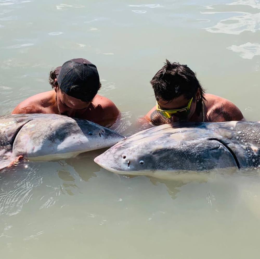 Meet your Posher, Daniel